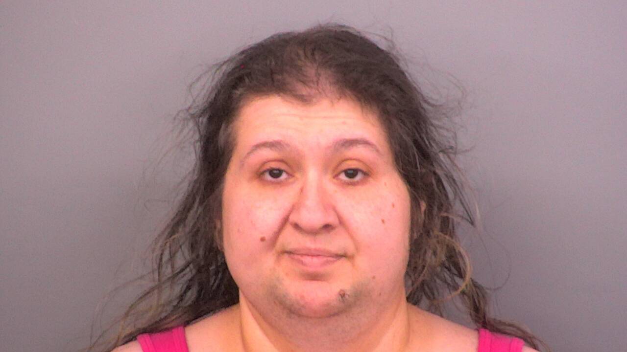Mugshot of MARIANA CALIN