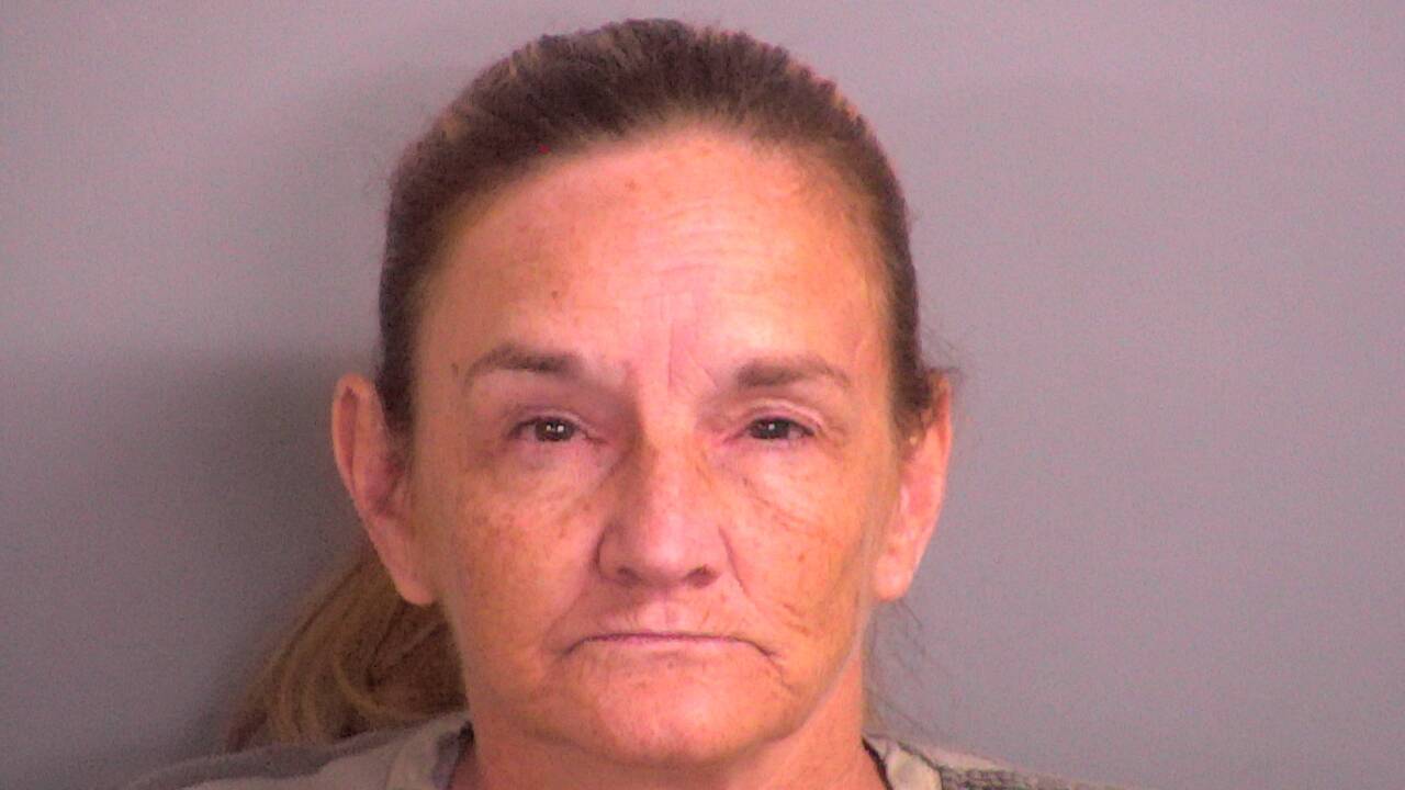 Mugshot of LORI A JOHNS