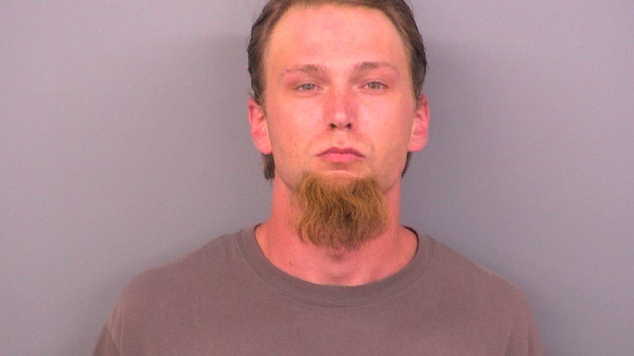 Mugshot of BRANDON PAUL BLAZE DION