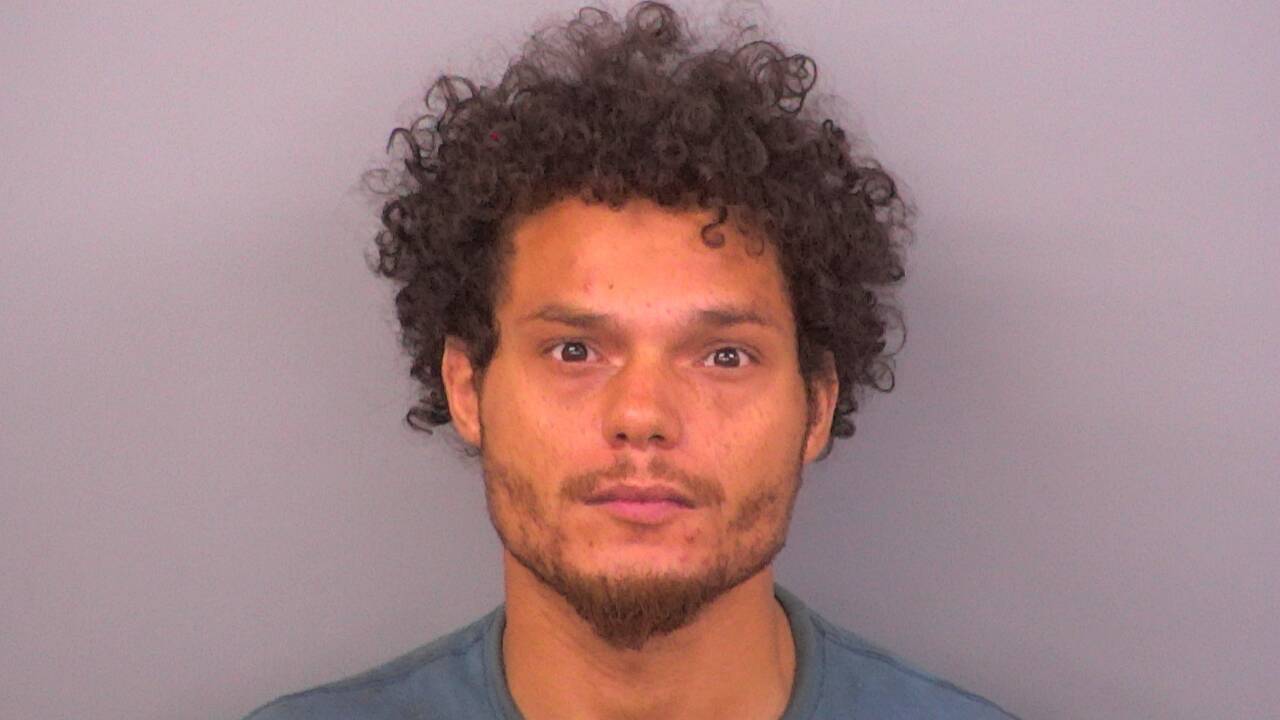 Mugshot of KATREN EVINS