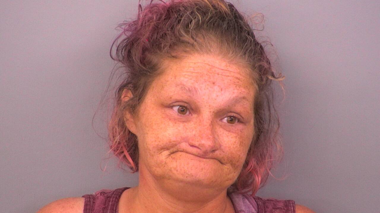 Mugshot of VIRGINIA MARIE CORP