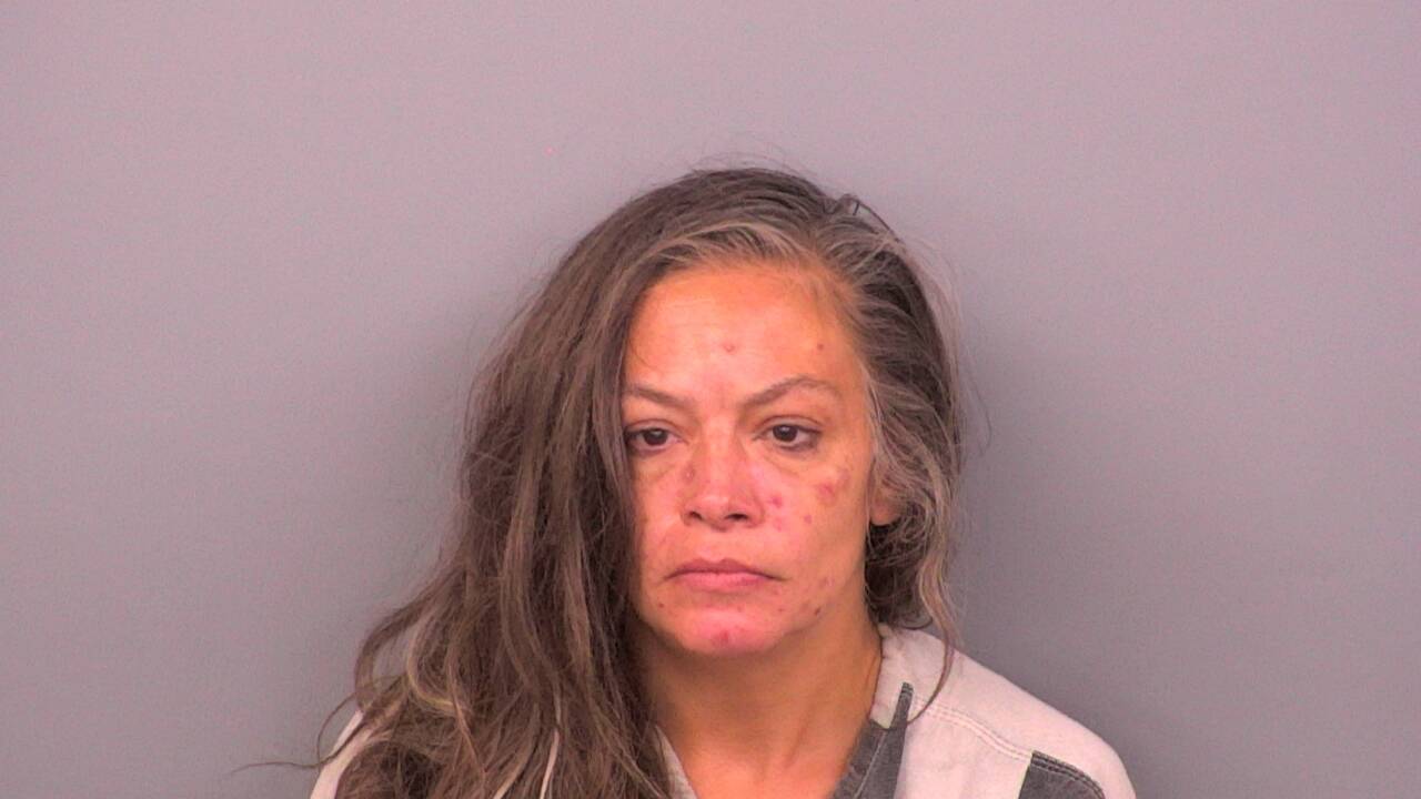 Mugshot of MELISSA FAYE HULSEY