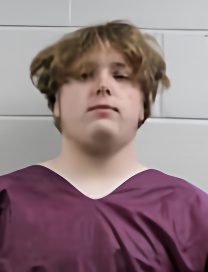 Mugshot of MICHAEL STEVEN LEE MILAM