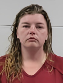 Mugshot of TAMMY B OAKES