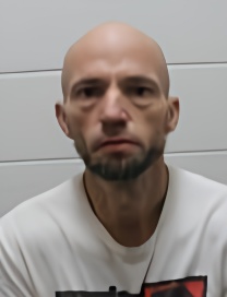 Mugshot of Brian L Williams