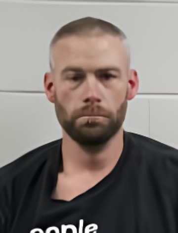Mugshot of DANIEL ELMORE LEE