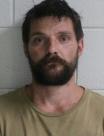 Mugshot of BRANDON THOMAS SWANNER