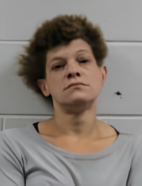 Mugshot of COURTNEY ELIZABETH BRADLEY