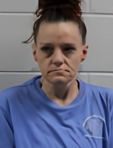 Mugshot of LESLIE A FOSTER
