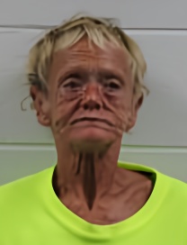 Mugshot of LESLEY CARYL MASTERS