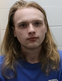 Mugshot of BILLY LUKE GREER