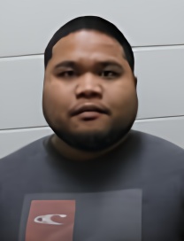 Mugshot of NOAH BRANDON PATRIS