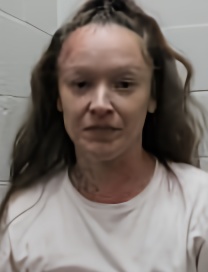Mugshot of CRISTIN G DUGGER