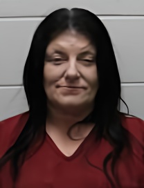 Mugshot of Julie BETH Storie