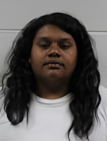 Mugshot of DANIKA RENEE HAMILTON