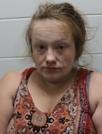 Mugshot of ELIZABETH L DEADRICK