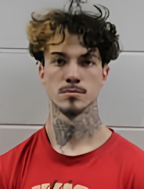 Mugshot of DANIEL THOMAS WHITE