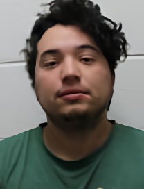 Mugshot of JOSE PENA