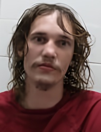 Mugshot of DONALD ANDREW CASTERLINE