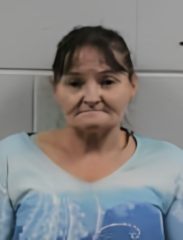 Mugshot of Loretta Lynn Howington