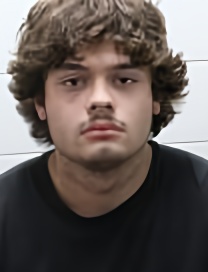 Mugshot of DAKOTA LAYNE PIERSON
