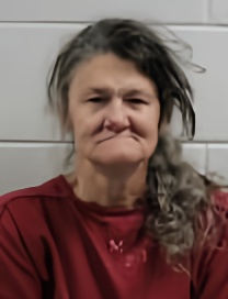 Mugshot of RITA SUE METCALF