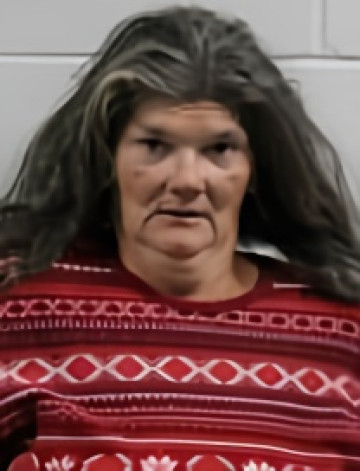 Mugshot of ANITA KATHLEEN SCHRIBER