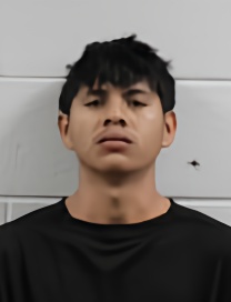 Mugshot of JOSE-SANCHEZ ENDER