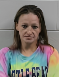 Mugshot of BEVERLY DENISE LOWE