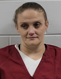 Mugshot of AMBER MICHELLE LINGERFELT