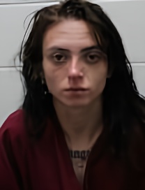 Mugshot of LILLIAN RENEE MADDOX