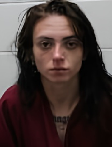 Mugshot of LILLIAN RENEE MADDOX