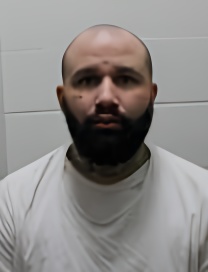 Mugshot of DWAYNE JR TURNER