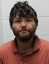 Mugshot of JOSHUA TRACY WALLACE