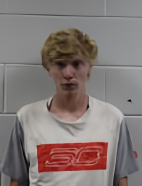 Mugshot of CHAZ LEE HAMMETT