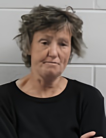 Mugshot of ALICIA L PETERS