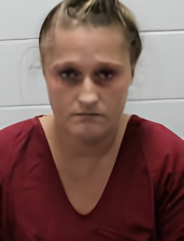 Mugshot of Allison P Everetts