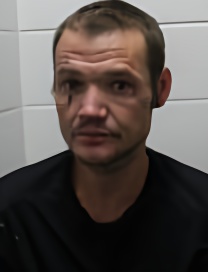 Mugshot of WESLEY L HOLT