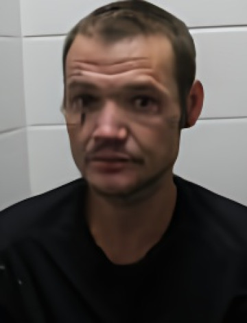 Mugshot of WESLEY L HOLT