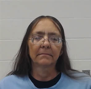 Mugshot of VANESSA TAYS