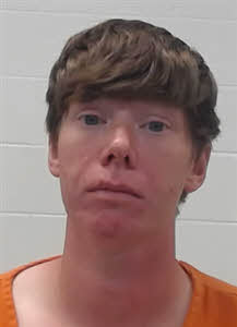 Mugshot of TERI NICOLE TEMPLE