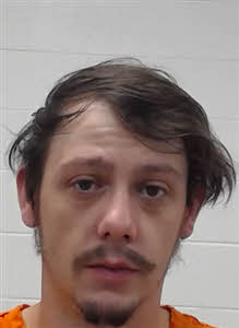 Mugshot of CLAY AUSTIN STAGGS