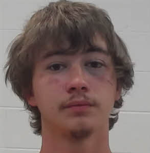 Mugshot of Waylon Alexander Whitehead