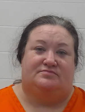 Mugshot of ERIKA LESHAE CAMERON