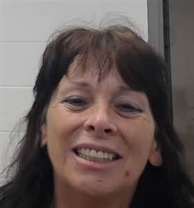 Mugshot of TERI FANESSA KELLY