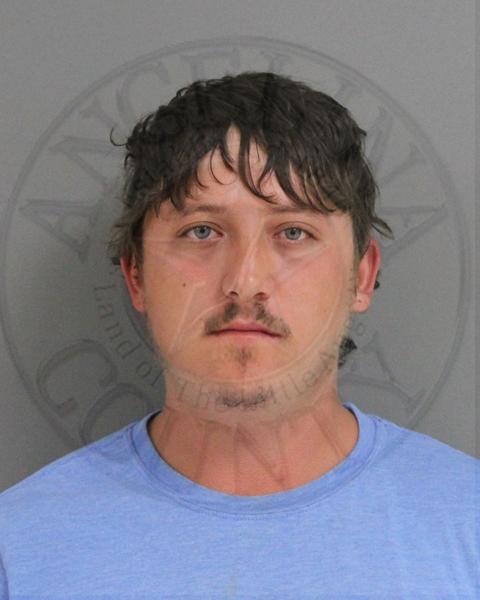 Mugshot of DAKOTA WAYNE REEVES