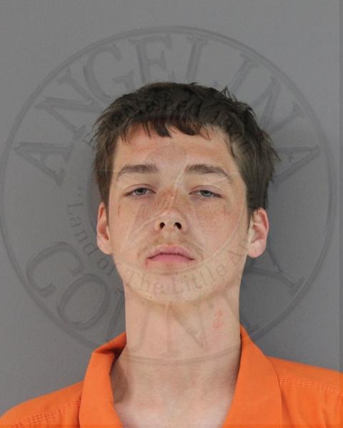 Mugshot of LOGAN WAYNE FERGUSON