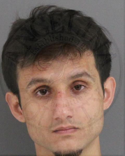 Mugshot of SERGIO BALDEMAR TREVINO
