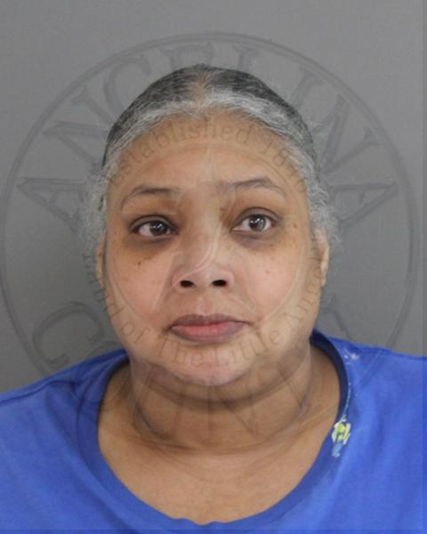 Mugshot of JESSICA ELENA CLARK