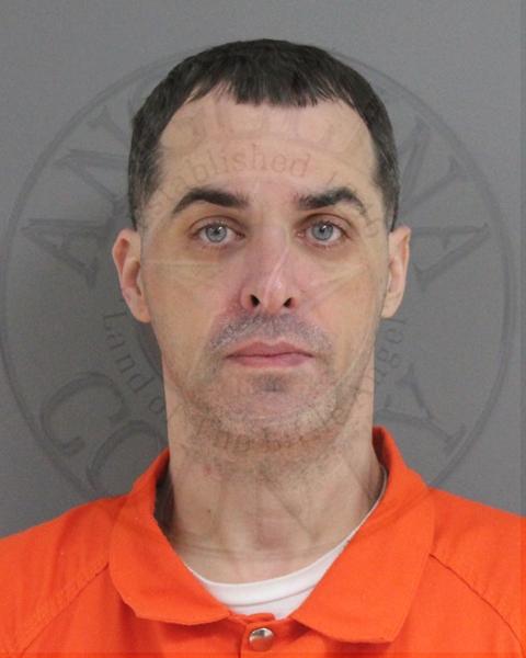 Mugshot of VIRGIL RUDDICK